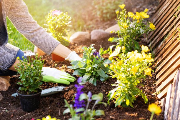 Gardening Tips: How To Prevent Incurring Injuries